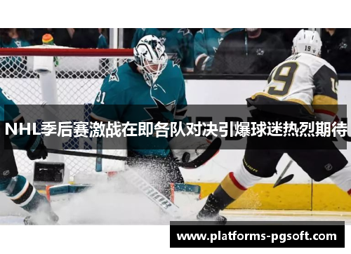 NHL季后赛激战在即各队对决引爆球迷热烈期待