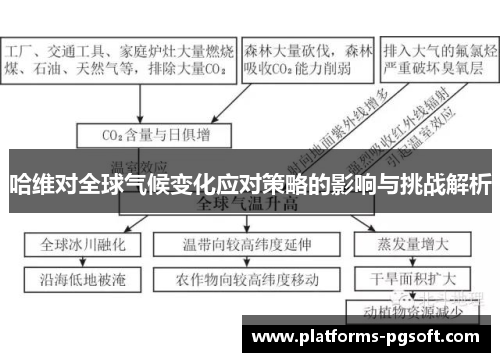 哈维对全球气候变化应对策略的影响与挑战解析