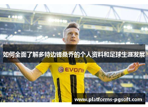 如何全面了解多特边锋桑乔的个人资料和足球生涯发展