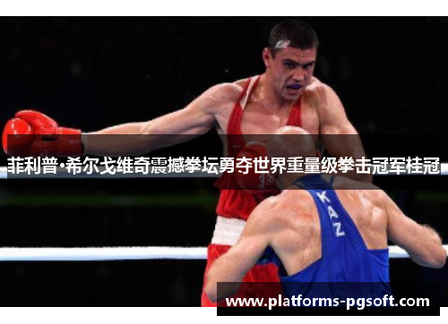 菲利普·希尔戈维奇震撼拳坛勇夺世界重量级拳击冠军桂冠